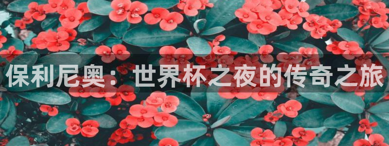 世界杯预选赛直播:保利尼奥:世界杯之夜的传奇之旅