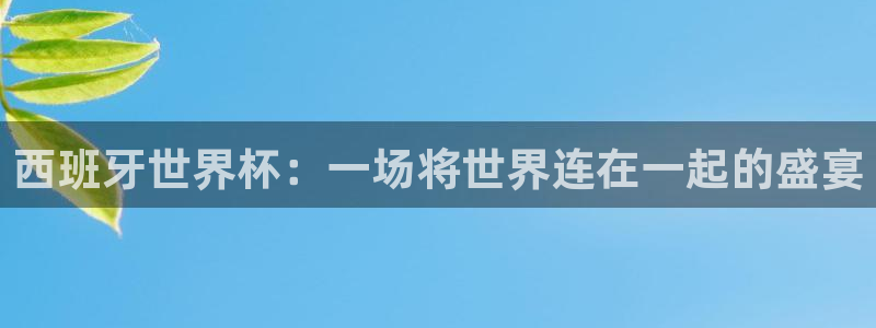 世界杯亚洲区预选赛积分榜:西班牙世界杯:一场将世界连在一起的盛宴
