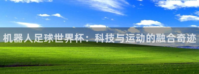 世界杯预选赛亚洲区赛程:机器人足球世界杯:科技与运动的融合奇迹