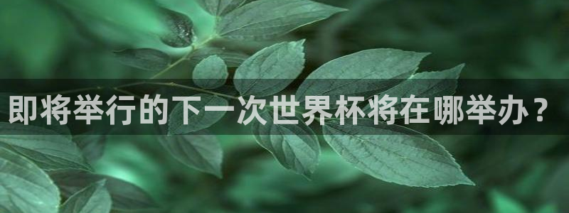 世界杯小组赛赛程:即将举行的下一次世界杯将在哪举办?